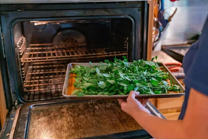 What Temp To Dry Herbs In Oven The Ultimate Guide